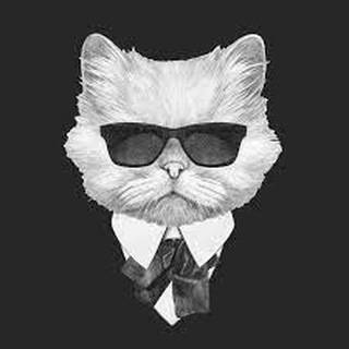 Вирт ❤️ Чат ❤️ Знакомства - Telegram Groups