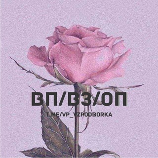 Логотип телеграм-чата vp_vzpodborka — Вп/Вз/Оп от 0 