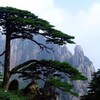 电报聊天的标志 anhuixiuche — 安徽修车大队
