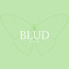 Логотип телеграм-чата bludwork — BLUD WORK