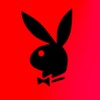Telegram chat _𝑷 𝑶 𝑹 𝑵 𝑶_𝑯 𝑼 𝑩_🔞 logo