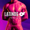 INFO | LATINOS OF - Telegram Groups