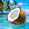 Логотип телеграм-чата moskvarealfoto — Анкеты моделей Москвы