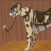 Logo of Telegram chat ponyplayfurs — Ponyplay furs! 🎠🏇🐎🐴