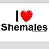 Logo of Telegram chat shemalechating — Shemale ❤️ Chatting