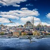 Telegram chat чат Shemale Escort İstanbul, Turkey | logo