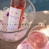 Логотип телеграм-чата stellarosaaa — 🍾Sтєℓℓα Rσѕα🌹