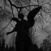 Логотип телеграм-чата tier_tre — Казино чат