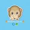 Telegram chat WhatsApp Hot Mx 🇲🇽 logo